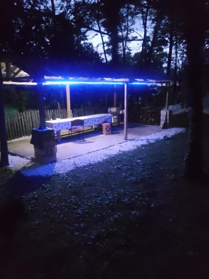 Tamuna Guest House مارتيفيلي المظهر الخارجي الصورة