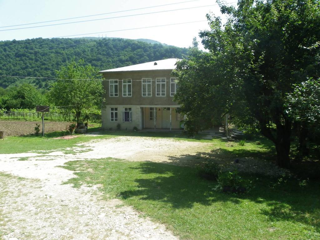 Tamuna Guest House مارتيفيلي المظهر الخارجي الصورة
